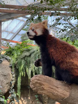 神戸どうぶつ王国に投稿された画像（2023/10/26）