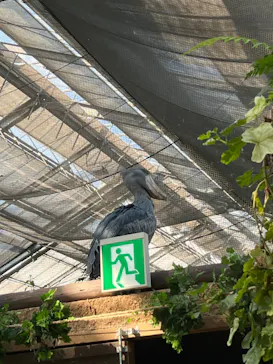 神戸どうぶつ王国に投稿された画像（2023/10/26）