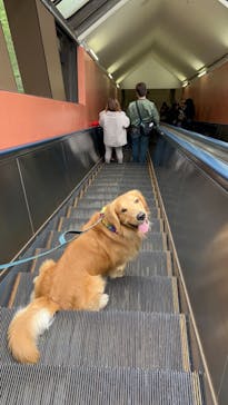 マウントジーンズ那須に投稿された画像（2023/10/26）