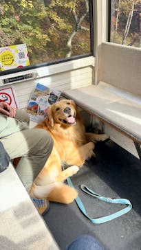 マウントジーンズ那須に投稿された画像（2023/10/26）