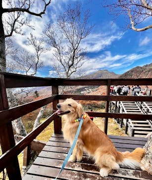 マウントジーンズ那須に投稿された画像（2023/10/26）