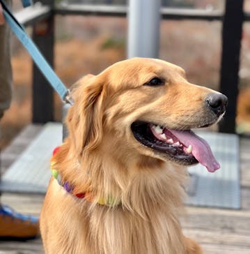 マウントジーンズ那須に投稿された画像（2023/10/26）