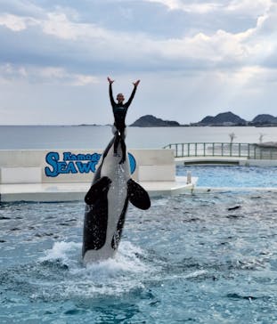 鴨川シーワールドに投稿された画像（2023/10/26）