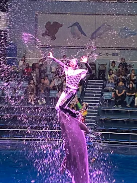 マクセル アクアパーク品川に投稿された画像（2023/10/26）