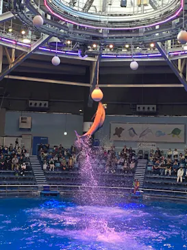 マクセル アクアパーク品川に投稿された画像（2023/10/26）