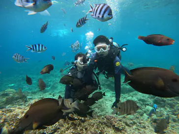 武藤潜水に投稿された画像（2023/10/26）