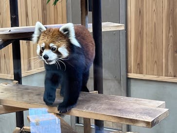 名古屋市東山動植物園に投稿された画像（2023/10/26）