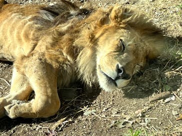 名古屋市東山動植物園に投稿された画像（2023/10/26）