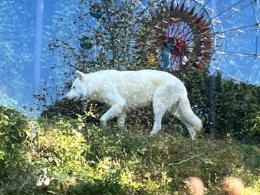 名古屋市東山動植物園に投稿された画像（2023/10/26）