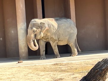 名古屋市東山動植物園に投稿された画像（2023/10/26）