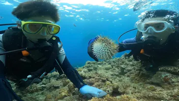 武藤潜水に投稿された画像（2023/10/26）