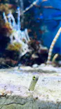 名古屋港水族館に投稿された画像（2023/10/26）
