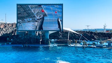 名古屋港水族館に投稿された画像（2023/10/26）