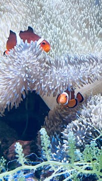 名古屋港水族館に投稿された画像（2023/10/26）