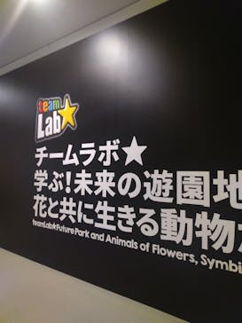 チームラボに投稿された画像（2023/10/26）