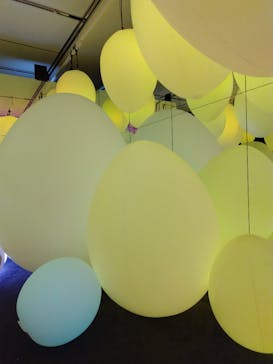 チームラボに投稿された画像（2023/10/26）