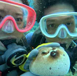 武藤潜水に投稿された画像（2023/10/26）