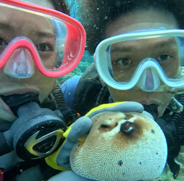 武藤潜水に投稿された画像（2023/10/26）