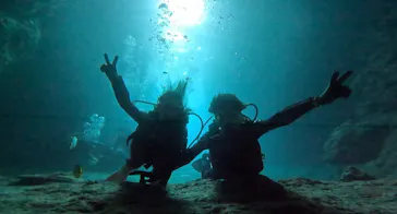 武藤潜水に投稿された画像（2023/10/26）