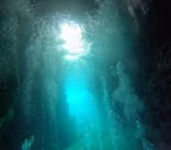 青の洞窟専門店　沖縄ダイビングショップ和に投稿された画像（2023/10/26）