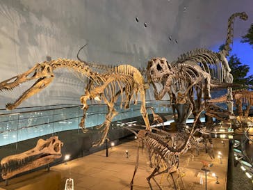 福井県立恐竜博物館に投稿された画像（2023/10/26）