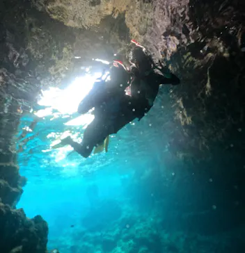 武藤潜水に投稿された画像（2023/10/26）