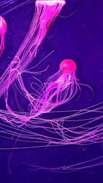 すみだ水族館に投稿された画像（2023/10/26）