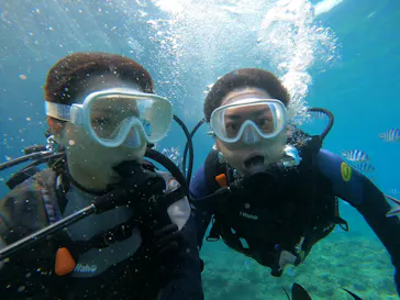 武藤潜水に投稿された画像（2023/10/26）