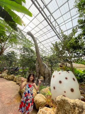 ナゴパイナップルパークに投稿された画像（2023/10/26）