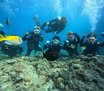 武藤潜水に投稿された画像（2023/10/26）