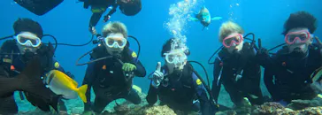 武藤潜水に投稿された画像（2023/10/26）