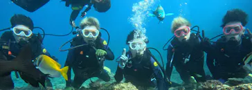 武藤潜水に投稿された画像（2023/10/26）