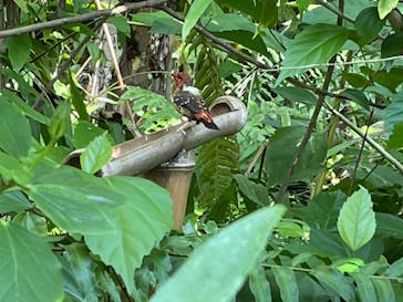 環境水族館アクアマリンふくしまに投稿された画像（2023/10/26）
