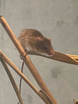 環境水族館アクアマリンふくしまに投稿された画像（2023/10/26）