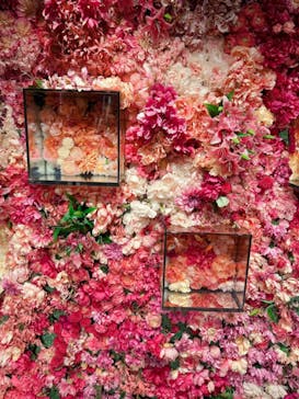 NARA KINGYO MUSEUMに投稿された画像（2023/10/26）