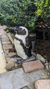 マリンワールド海の中道に投稿された画像（2023/10/26）