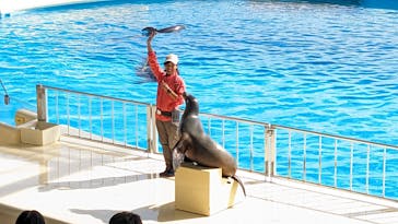 マリンワールド海の中道に投稿された画像（2023/10/26）