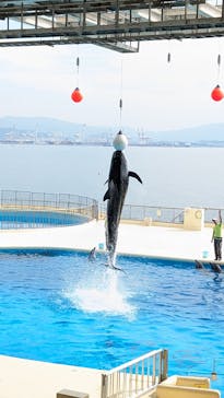 マリンワールド海の中道に投稿された画像（2023/10/26）