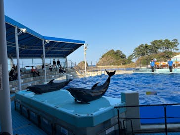 越前松島水族館に投稿された画像（2023/10/26）