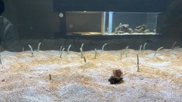 AOAO SAPPOROに投稿された画像（2023/10/26）