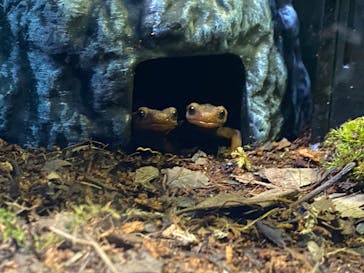 AOAO SAPPOROに投稿された画像（2023/10/26）