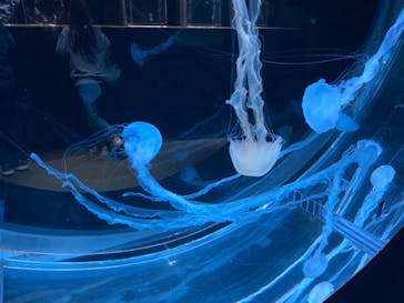 AOAO SAPPOROに投稿された画像（2023/10/26）