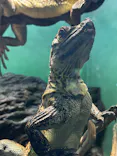 サンシャイン水族館に投稿された画像（2023/10/26）