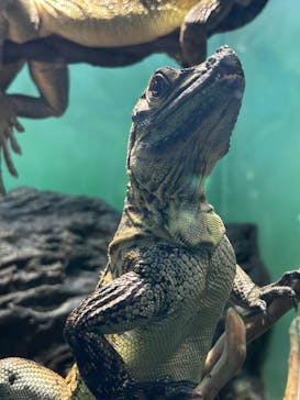 サンシャイン水族館に投稿された画像（2023/10/26）