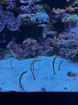 サンシャイン水族館に投稿された画像（2023/10/26）