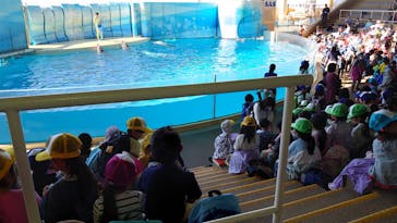 新江ノ島水族館に投稿された画像（2023/10/26）
