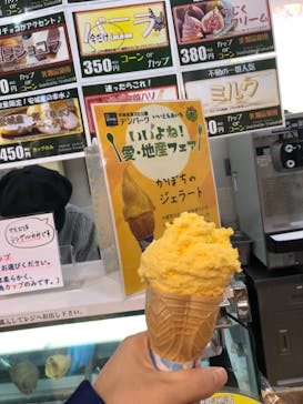 安城産業文化公園デンパークに投稿された画像（2023/10/26）