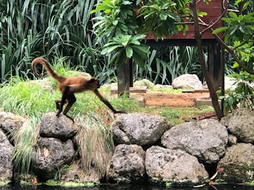 ネオパークオキナワに投稿された画像（2023/10/26）