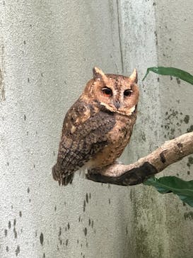 ネオパークオキナワに投稿された画像（2023/10/26）