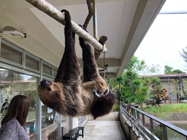 ネオパークオキナワに投稿された画像（2023/10/26）